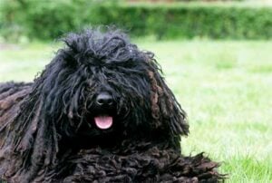 portland janitorial and commercial cleaning