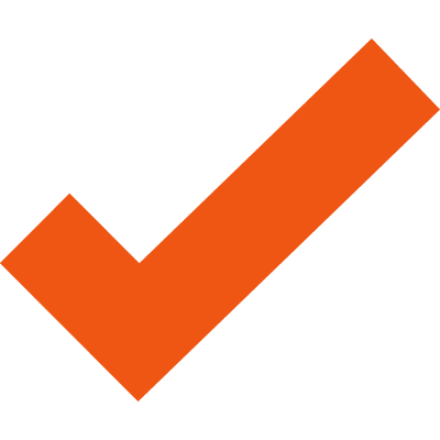 icon check orange