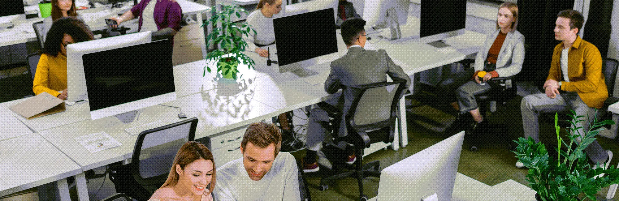 Office workers discussing their work projects.