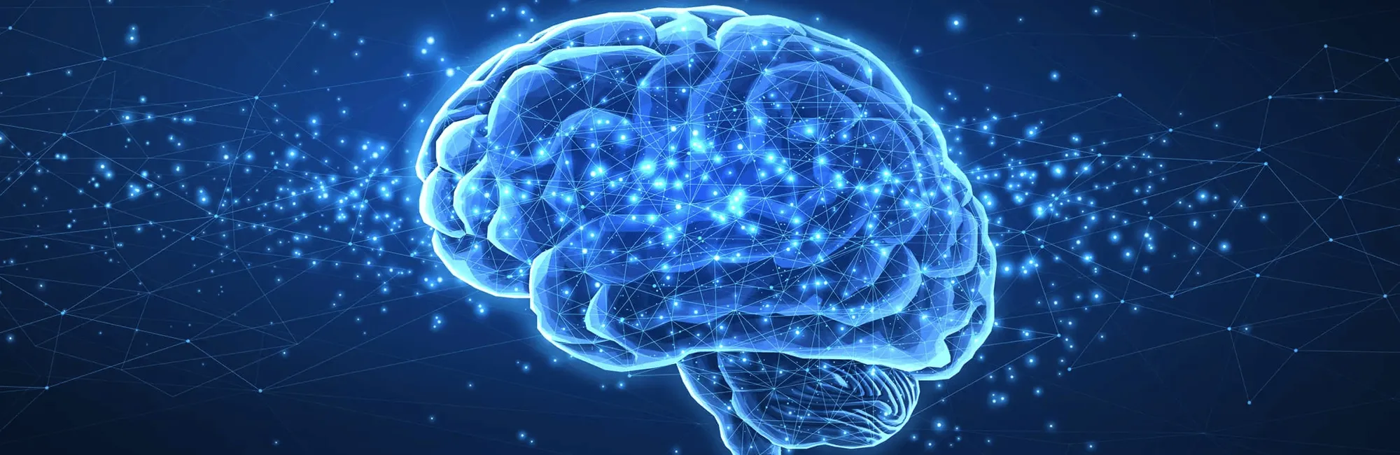 Brain scan with a neural net.